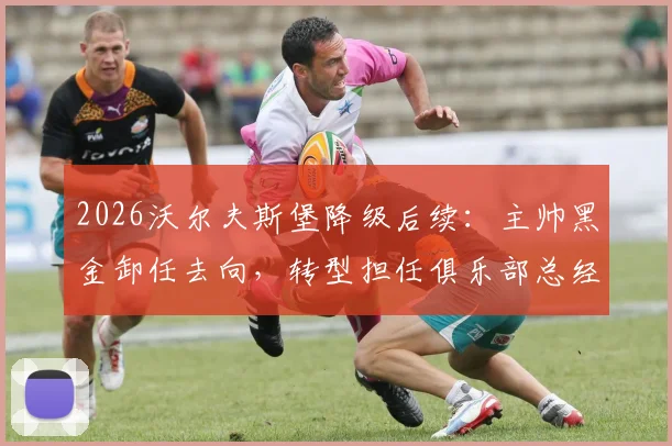 2026沃尔夫斯堡降级后续：主帅黑金卸任去向，转型担任俱乐部总经理原因及前景分析